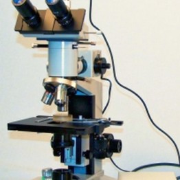 Mikroskop światła odbitego i przechodzącego, do badań materiałów, z kamerą USB CAM