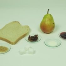 Kompletny zestaw eksperymentalny: Składniki odżywcze zawierające cukier